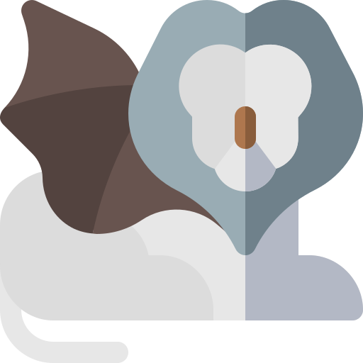 Chmera logo